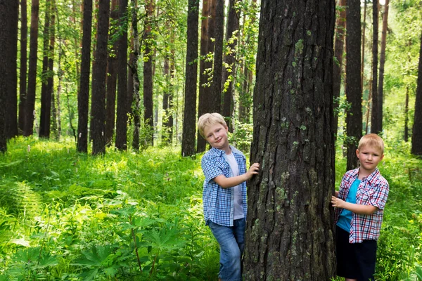 Barn i skogen — Stockfoto