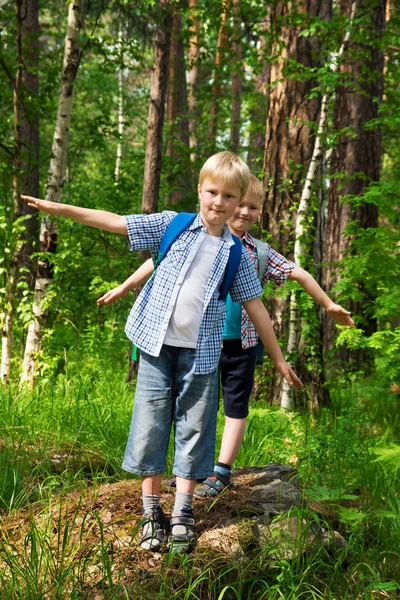Children go hiking — Stock Photo, Image