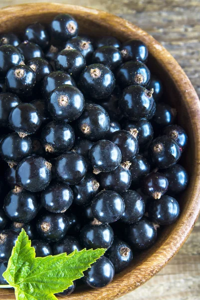 Organic black currant — Stock Photo, Image