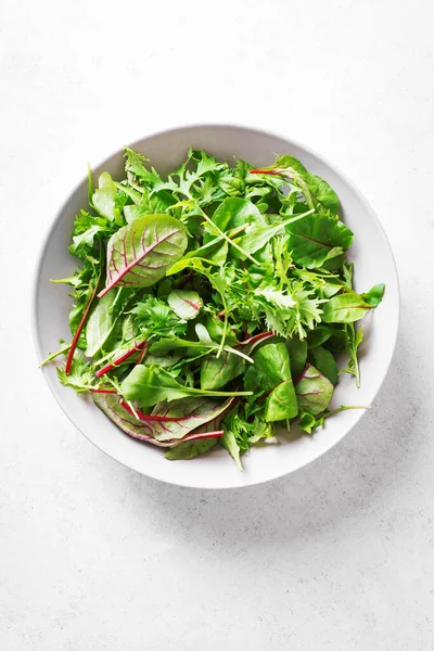 有机绿色色拉 新鲜的叶子混合色拉与阿鲁古拉 瑞士沙司和生菜的白色背景 顶部视图 复制空间 健康饮食 — 图库照片