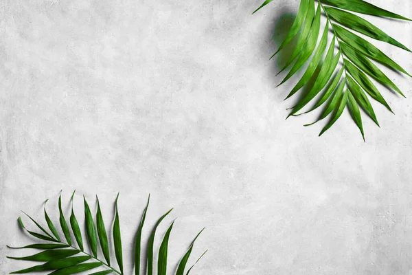 Palmbladeren Grijze Betonnen Achtergrond Bovenaanzicht Kopieerruimte Groene Plant Blad Trendy — Stockfoto