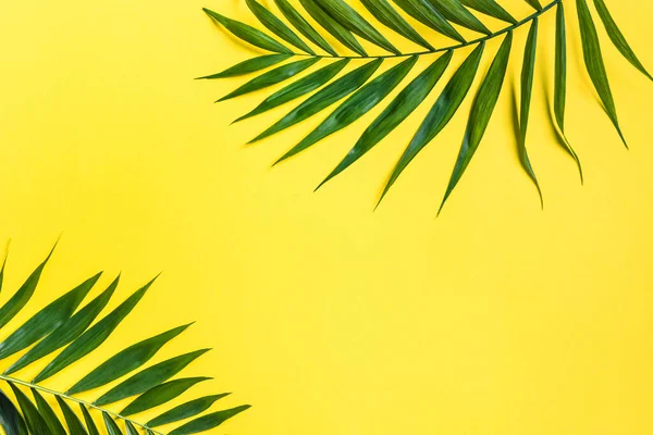 Folhas Palma Fundo Amarelo Vista Superior Espaço Cópia Planta Verde — Fotografia de Stock