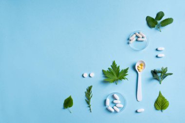 Homeopati, naturopati ve alternatif bitkisel ilaçlar. Kapsüller ve haplar, mavi arkaplanda yeşil bitki yaprakları, üst görünüm, boşluk kopyala.