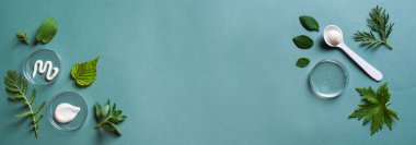 Petri kabında doğal cilt bakımı ürünleri ve yeşil arka planda yeşil yapraklar, afiş, kopyalama alanı. Doğal ekolojik güzellik, kozmetik laboratuvarı ve organik cilt bakımı konsepti.