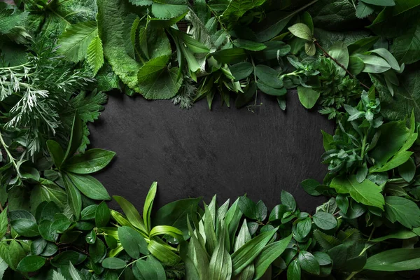 Folhas Verdes Fundo Ardósia Preta Layout Criativo Espaço Cópia Natureza — Fotografia de Stock
