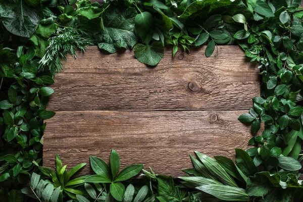 Folhas Verdes Fundo Madeira Layout Criativo Espaço Cópia Natureza Eco — Fotografia de Stock