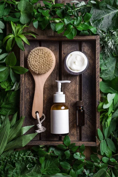 Cosmetic skin care products (body lotion, hair shampoo, face creme, essential oil) on green leaves background, top view. Natural eco beauty and organic green skin care concept.