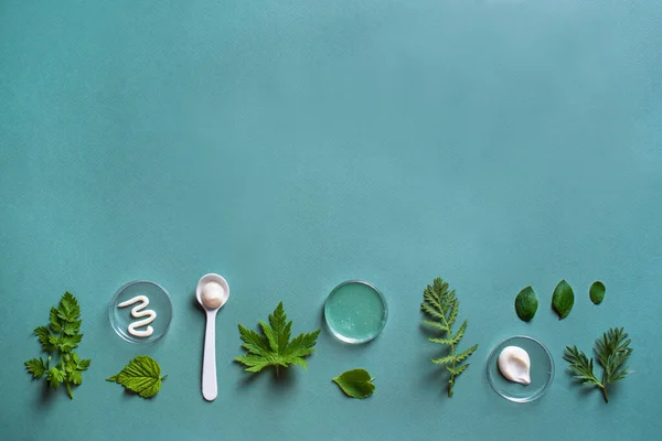 Přírodní Produkty Pro Péči Pleť Petriho Misce Zelené Listy Zeleném — Stock fotografie