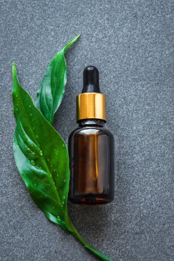 Serum şişesi ve gri taş arka planda yeşil yapraklar. Gerekli yağ, sıvı, bitki özü, biyolojik cilt serumu....