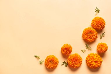 Turuncu pastel arka planda sarı kadife çiçekleri, yaratıcı düz döşeme, kopyalama alanı. Çin güz festivali ortasında kadife çiçekli konsept.