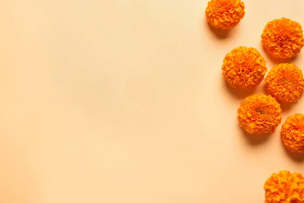 Marigold Gula Blommor Orange Pastell Bakgrund Kreativ Platt Låg Kopiera — Stockfoto