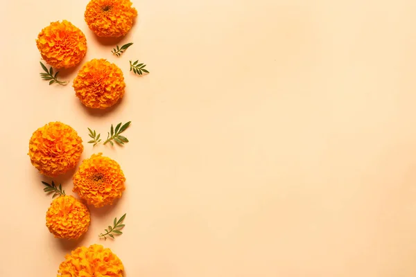 Marigold Żółte Kwiaty Pomarańczowym Pastelowym Tle Kreatywne Płaskie Leżały Przestrzeń — Zdjęcie stockowe