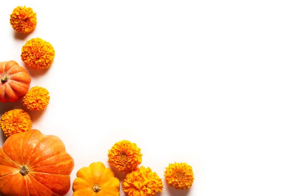 Composición Otoñal Con Calabazas Flores Caléndula Aisladas Blanco Vista Superior — Foto de Stock