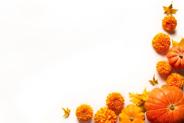 Composición Otoñal Con Calabazas Hojas Arce Amarillo Flores Caléndula Aisladas —  Fotos de Stock