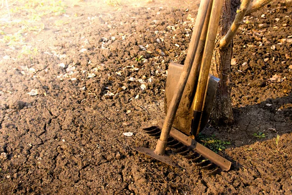 Vecchi attrezzi da giardino — Foto Stock