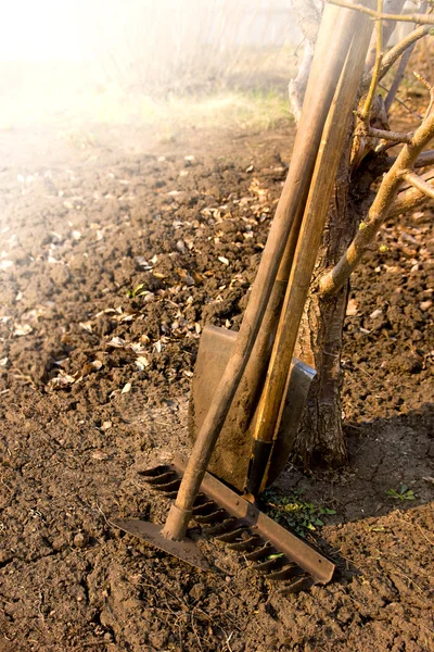 Vecchi attrezzi da giardino — Foto Stock