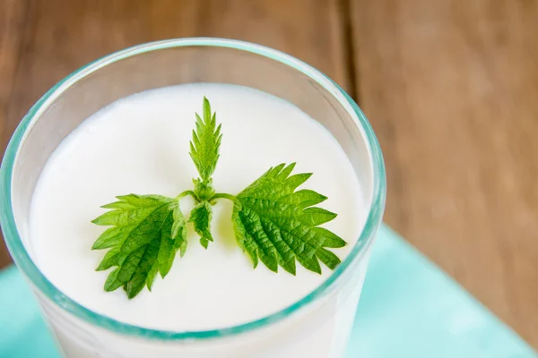 Frischer hausgemachter Joghurt — Stockfoto