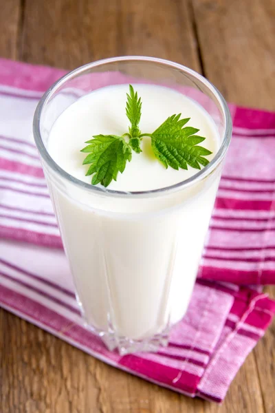 Verse zelfgemaakte yougurt — Stockfoto