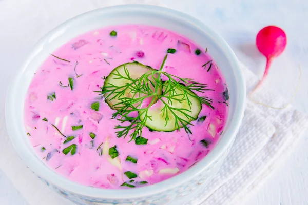 Sopa de verduras frías — Foto de Stock