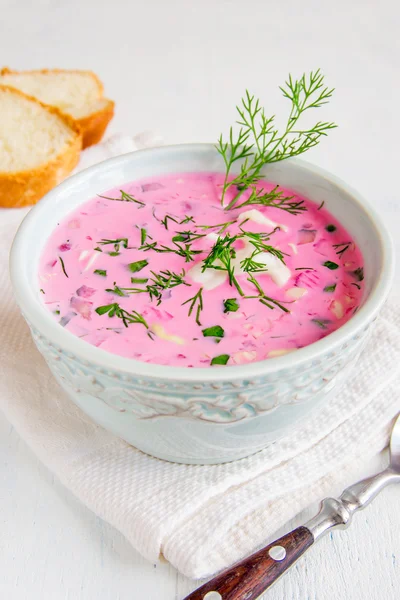 Sopa de verduras frías — Foto de Stock