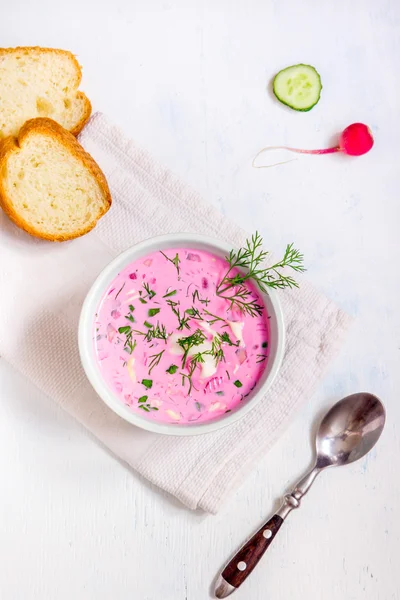 Sopa de verduras frías — Foto de Stock