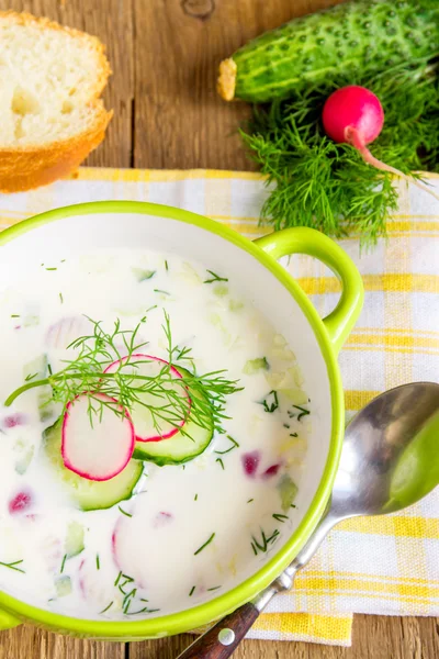 Sopa de iogurte frio — Fotografia de Stock