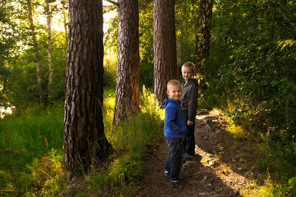 Дети в лесу — стоковое фото