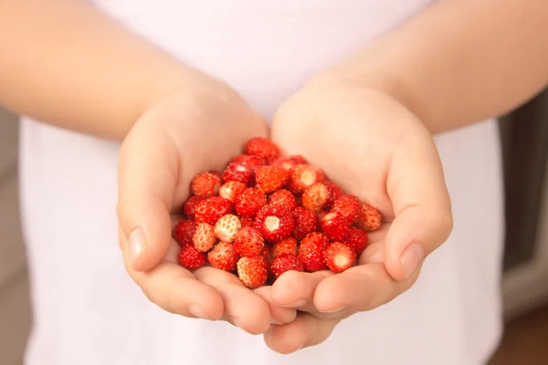 Wild strawberries in hands — Stock Photo, Image