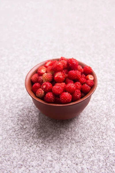 Wild strawberries — Stock Photo, Image