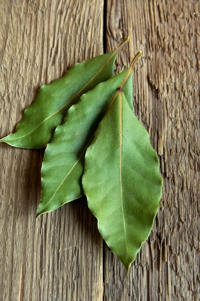 Bay leaves — Stock Photo, Image