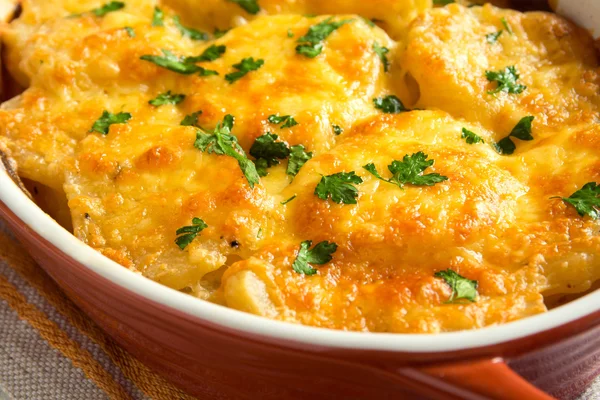 Potato gratin — Stock Photo, Image