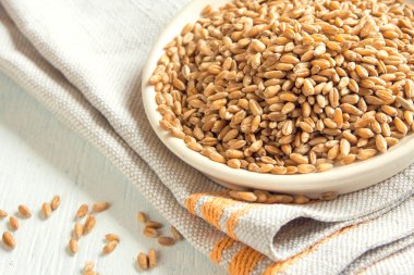 Buğday tohumu (tahıl)