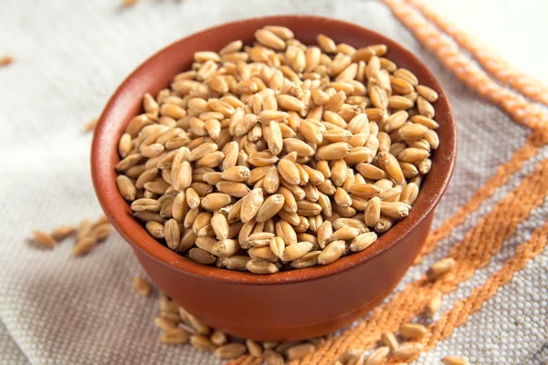 Насіння пшениці (зерна ) — стокове фото