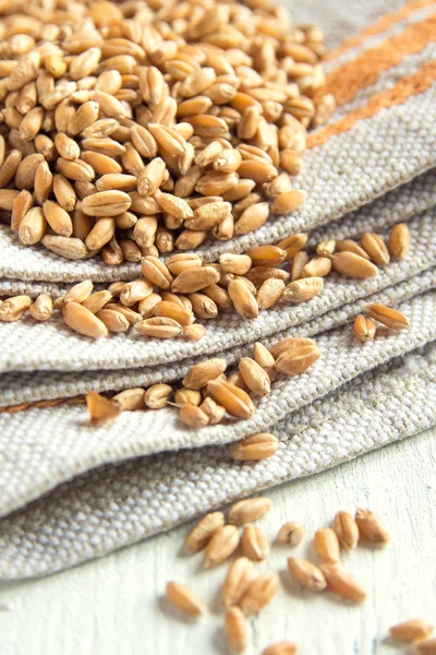 밀 씨앗 (곡물) — 스톡 사진