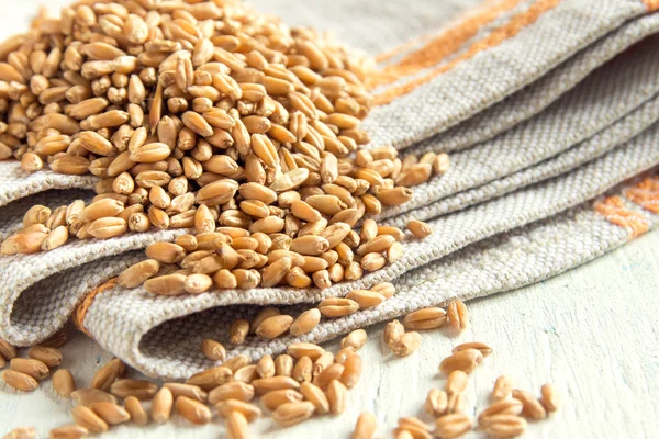 Семена пшеницы (зерна ) — стоковое фото