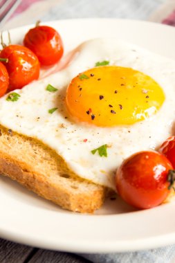 Sahanda yumurta ekmek ve domates