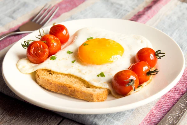 Huevo frito sobre pan y tomates — Foto de Stock
