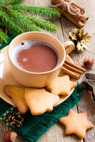 Gingerbread çerezleri sıcak çikolata