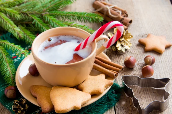 Мятный горячий шоколад с пряничным печеньем — стоковое фото
