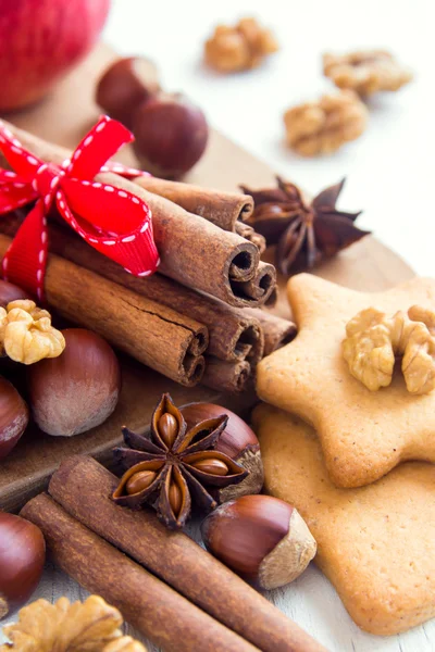 Christmas spices and nuts — Stock Photo, Image