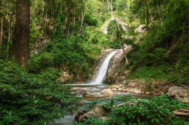 Chae Son Ulusal Parkı, Lampang, Tayland 'daki tropikal ormanda güzel bir şelale.