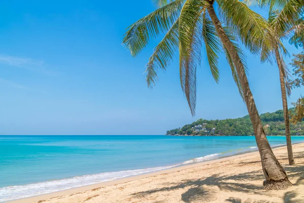 Kamala Beach Com Água Cristalina Coqueiro Famoso Destino Turístico Phuket — Fotografia de Stock