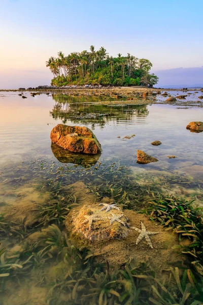 位于泰国普吉岛锡里纳特国家公园内靠近奈杨湾的著名小岛上 黄昏时分 有海参和海星在一起 — 图库照片
