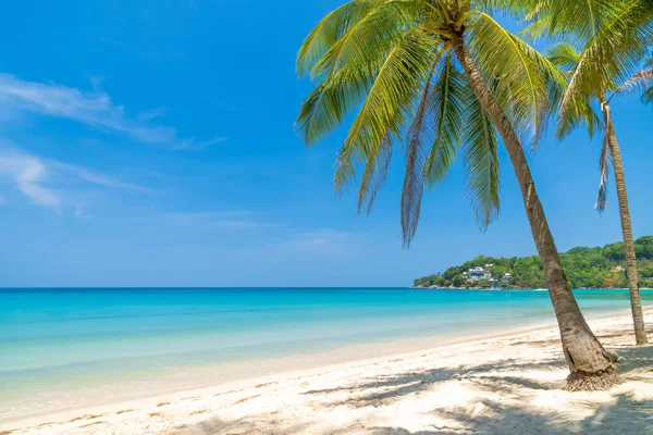 Kamala Beach Mit Kristallklarem Wasser Und Kokospalmen Berühmtes Touristenziel Phuket lizenzfreie Stockbilder