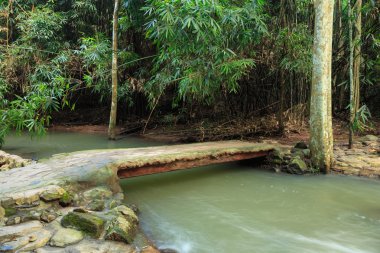 milli park akışında üzerinde köprü