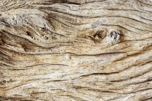 Old wood with splinter texture background — Stock Photo, Image