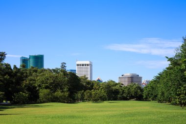 Mavi gökyüzü ile bir Park Bangkok cityscape