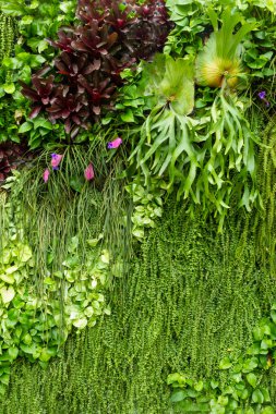 renkli yaprakları duvar arka plan