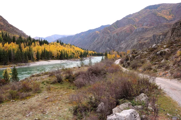 A narrow mountain trail running at the foot of a high hill overlooking a picturesque autumn valley with a flowing turquoise river. Katun, Altai, Siberia, Russia.