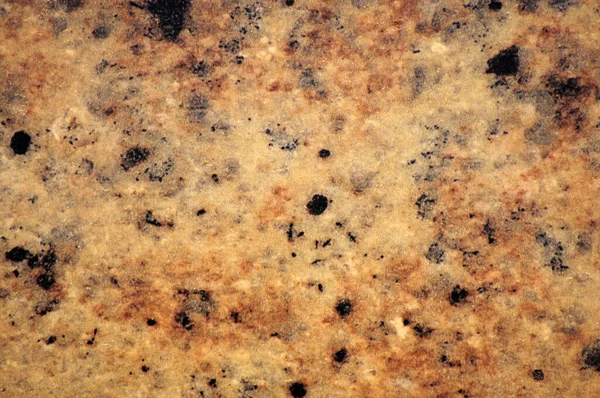 Light brown granite with black and white small inclusions, close-up of polished flat surface of natural stone. Background, pattern, texture.